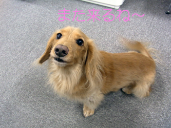 130128tenchan05.jpg