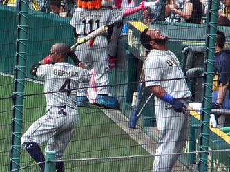 140606yakyu02.jpg