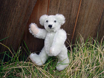 070523teddybear03.JPG