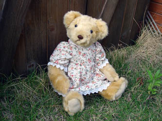 070523teddybear05.JPG