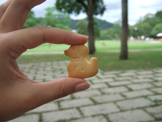 koloのちょっと一息:070725ensoku03.jpg