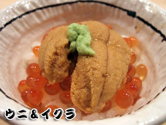 kolo¤Î¤Á¤ç¤Ã¤È°ì©¡§070801kurosugi04.jpg