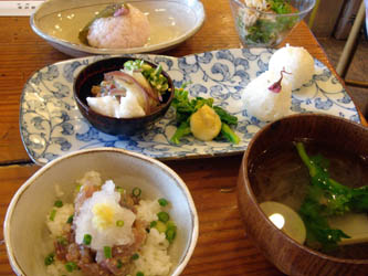 080414aji01.jpg