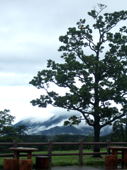 080707daisen01.jpg