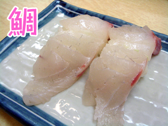 080926harukoma05.jpg