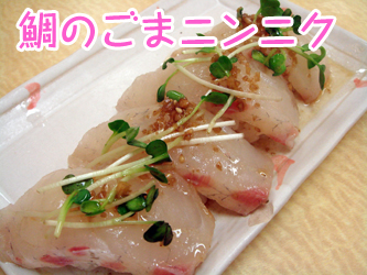 080926harukoma06.jpg