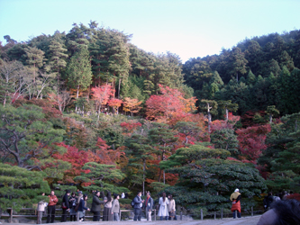 081125kyoto01.jpg