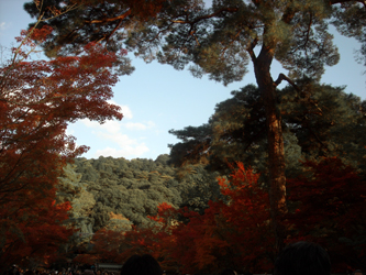 081125kyoto04.jpg