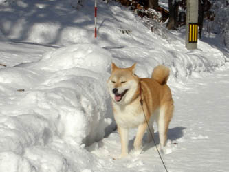 081126yuki03.jpg