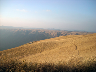 100119kumamoto03.jpg