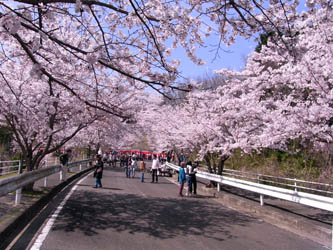 近畿 大学 農学部