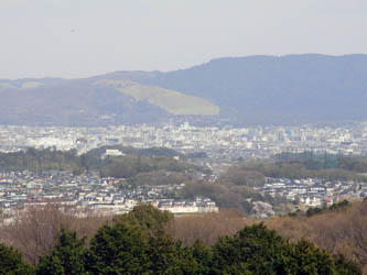 100405ohanamikinkidaigaku06.JPG