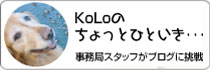 Kolôƈꑧ