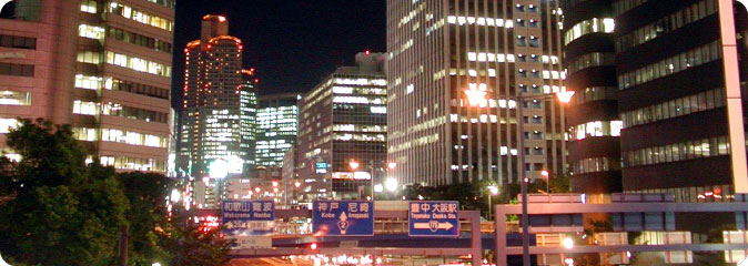 헪L